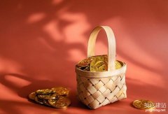 網站設計有限公司